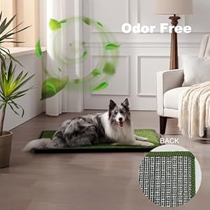 Dog Grass Pad with Tray Large 34’’×23’’, Dog Potty with Ultra-Absorbent Artificial Grass for Dogs with Hemmed Edge, Pee Pads for Dogs, Realistic, Odor Free, Dog Litter Box for Balcony Dog Grass Pad with Tray Large 3423 Dog Potty with Ultra Absorbent Artificial Grass for Dogs with Hemmed Edge Pee Pads for Dogs Realistic Odor Free Dog Litter Box for Balcony