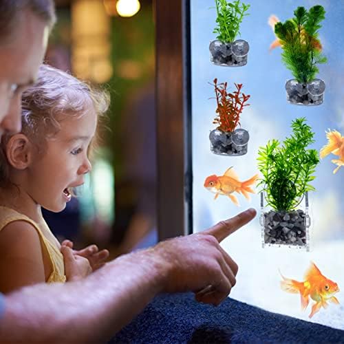 Amazon Com 10 件水生植物杯帶孔 壓克力水生植物盆附強力吸盤 植物架水族館裝飾適用於水生持有人魚缸水族館水族館aquascape 裝飾 Amazon Com 10 件水生植物杯帶孔 壓克力水生植物盆附強力吸盤 植物架水族館裝飾適用於水生持有人魚缸水族館水族館aquascape 裝飾
