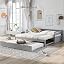 Gray_simple