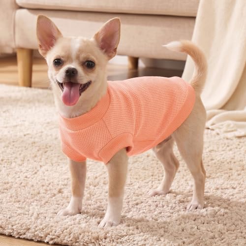 Image of 1 Pack Dog Shirt for Small Supplies Functional Waffle Dog Clothes Warm Soft Sweatshirt Outfit for Dogs Cats Pet Apparel