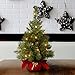 National Tree Company Pre-lit Artificial Mini Christmas Tree | Includes Small Lights and Cloth Bag Base | Majestic Fir - 2 ft