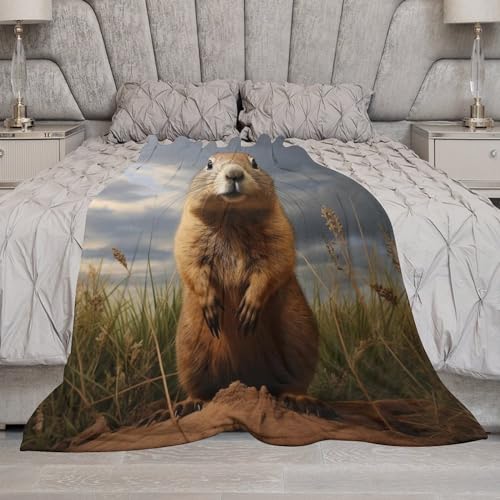 Manta de forro polar de marmota para sofá cama 180x200 cm 7