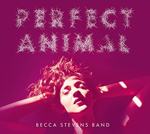 BECCA STEVENS BAND - Perfect Animal - Disque CD