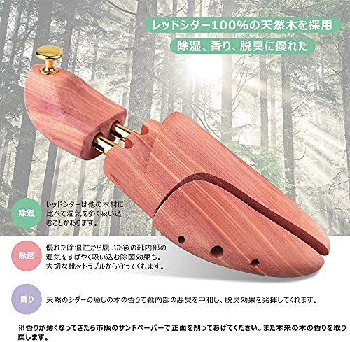 シューキーパー コロニル シダー の選び方と買える場所 [2026年版] 追加カット 4