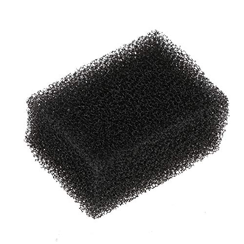 3 tipi di trucco spugna, trucco spugna per