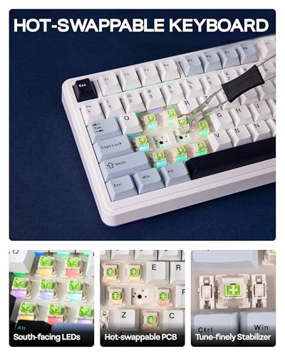 Image of EPOMAKER EA75 75% RGB Gaming Mechanical Keyboard, 2.4GHz /Type-C /BT Creamy Wireless Keyboard with Knob, Shine Through PBT Keycaps, Hot Swappable for Gamers (Light Blue, Graywood V3 Switch)