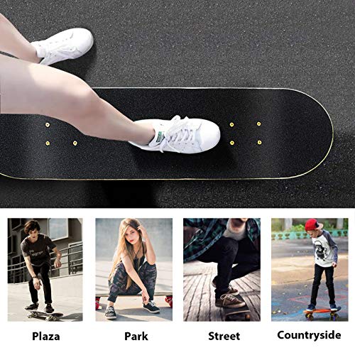 Andrimax Skateboards-Complete Skateboards For Beginners Kids Boys Girls Adults Youth-Standard Skateboards 31’’X8’’ With 7 Lays Maple Deck Pro Skateboards, Longboard Skate Boards (Graffiti) #TOP5