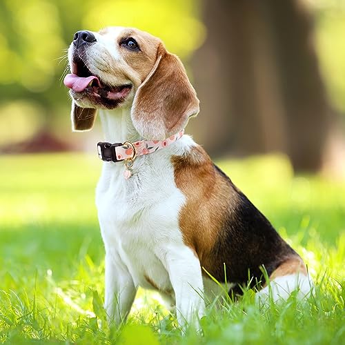 Liugjiau Handmade Dog Collar For Small Medium Large Dogs,White Peach With Pendant Fall And Winter Fashions Dog Collar,Ideal For Girl Dogs Boy Dogs thumb #5