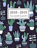 Planner July 2018-December 2019: Two Year - Daily Weekly Monthly Calendar Planner | 18 Months July 2018 to December 2019 For Academic Agenda Schedule ... Planners (Academic Planner 2018-2019)