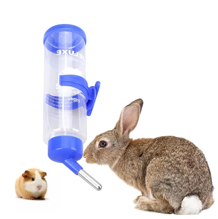See full amazon price history chart for Cozy Puppies 250ml Water Bottle Automatic No Drip Hanging Water Feeder Dispenser for Small Animals Guinea Pig Rat Rabbit Dwarf Gerbil Chinchilla (Color May Vary) Cozy Puppies 250ml Water Bottle Automatic No Drip Hanging Water Feeder Dispenser for Small Animals Guinea Pig Rat Rabbit Dwarf Gerbil Chinchilla (Color May Vary) (B0CL4XG9GJ) Amazon Price History, Amazon Price Tracker