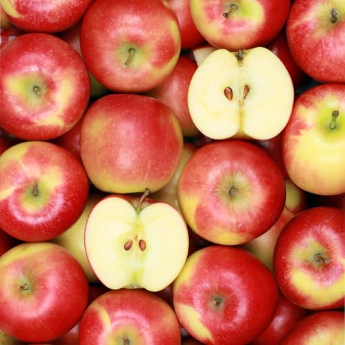 Image of Capital City Fruit Deluxe Tropical Fruit Gift Box