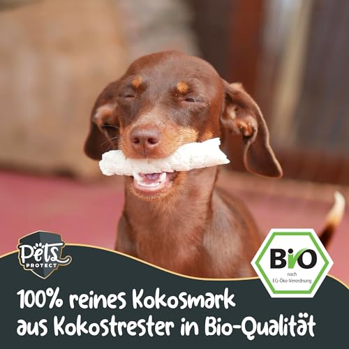 Pets Protect Bio-KOKOSHAPPEN 300 g | Natürliche Leckerlis für Hund & Pferd | Beste Bio-Qualität | Hunde-Snacks getreidefrei & ohne künstliche Zusätze | Leckerli vegan | Deutsche Herstellung