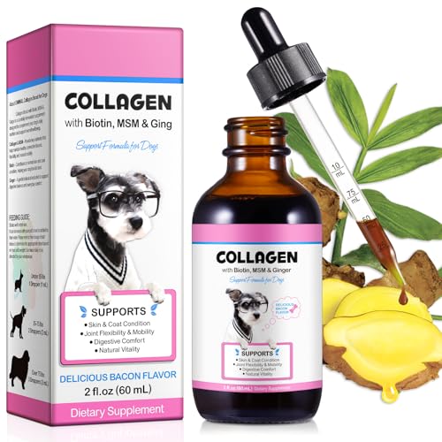 VOSIFSDIY Gota de colágeno para perros, biotina, MSM y jengibre, pelaje brillante, piel saludable, mantiene la salud de las articulaciones, aumenta la inmunidad, sabor a tocino, 60 ml