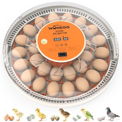 WONEGG 30 Egg Incubator with Automatic Turner