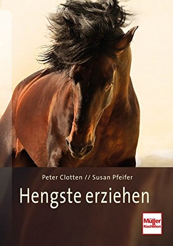 Hengste erziehen: So arbeiten die besten Pferdetrainer der Welt Hengste erziehen: So arbeiten die besten Pferdetrainer der Welt