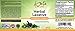 Amate Life Herbal Laxative Cleansing Formula Laxative Capsules Help with Occasional Constipation Promotes Regularity Probiotics Source Digestive System Health Non-GMO 60 Capsules
