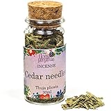 Spiru Incienso Thuja Gigante (EE.UU.)