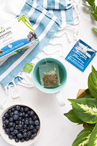Miracle Tree - Organic Moringa Superfood Tea, 2 Pack Bundle, 2X25 Individually Sealed Tea Bags (Blueberry, Green Tea) #TOP3