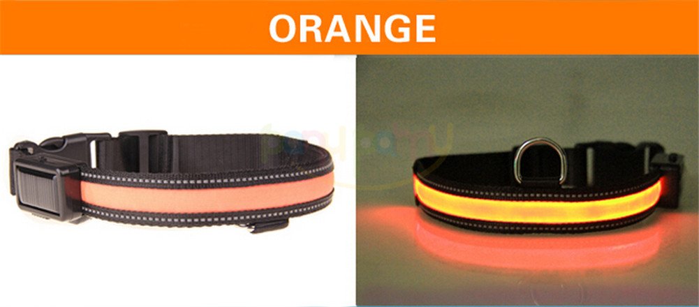Collare Luminoso Per Cani Ricaricabile USB, Collare LED - Foto 4