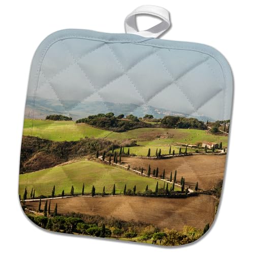 3D Rose PHL_227575_1 Italy - Tuscany. Zig Zag Road - La Foce in Tuscany. Pot Holder, 8 by 8"