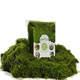 USMOLA 3.5OZ Fake Moss for Plants Indoor - Artificial Moss for Table Centerpieces, Fairy Gardens, Terrariums - Realistic Faux Grass for Wedding Christmas Party Decor (Natural Green)