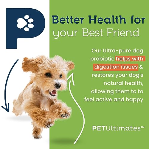 Pet Ultimates Probiotics for Dogs – 22-Species Dog Probiotics for Digestive Support & Antibiotics Recovery – Skin and Coat Supplement, Enhances Vitality – Dog Health Supplies (137 gr) - Image 4