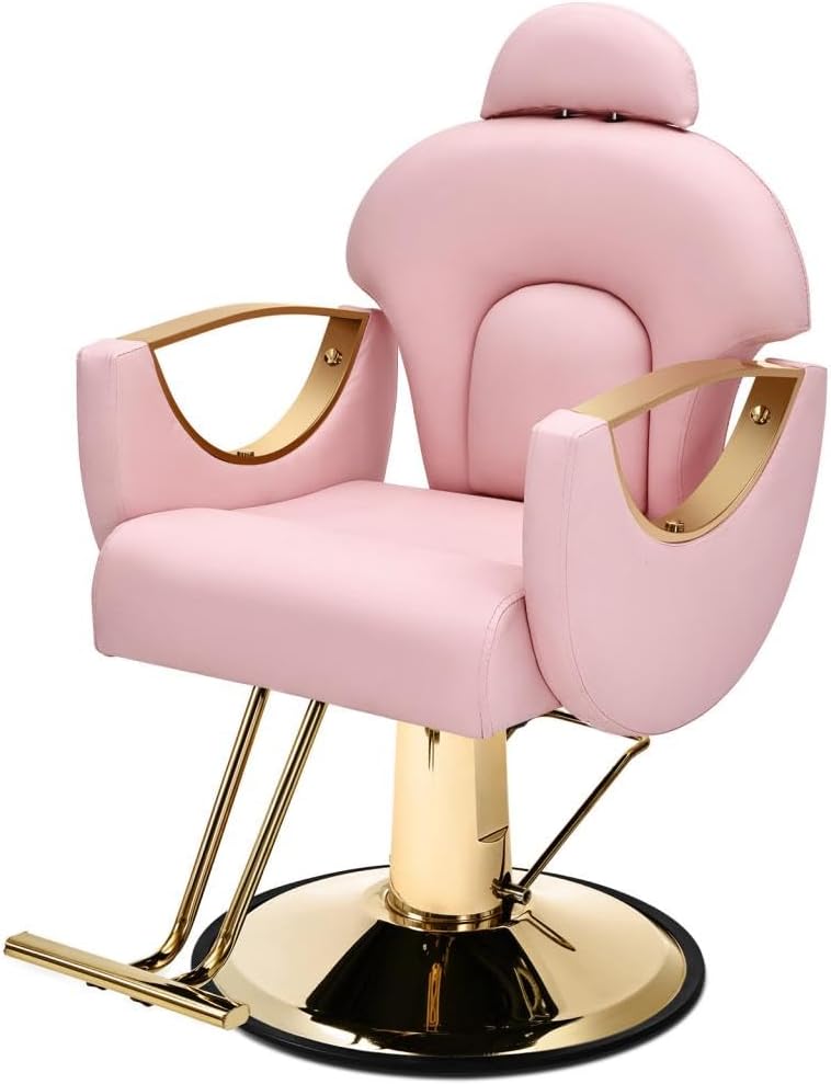 Artist hand Pink Salon Chair, Reclining Barber Chair with Heavy Duty Hydraulic Pump, 360 Degree Swivel Haircutting Styling Braiding for Hair Stylist, Max Load 440 Lbs, Pink and Gold
