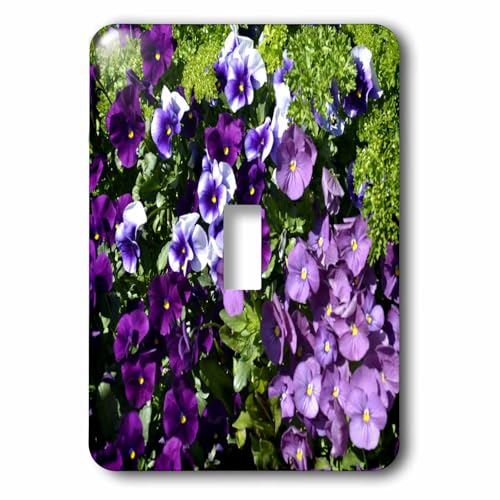Interrupteur à bascule décoratif violette 3dRose lsp_22533_1 fleuri