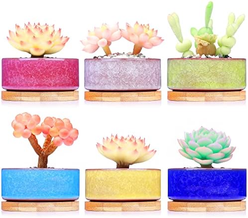 DawnLam inches Ceramic Ice Crack Small Cute Succulent Plant Pots,Cactus Plant Pot,Flower Planter Pot with Drainage for Home and Kitchen Decoration (3.5Inch)