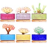 DawnLam inches Ceramic Ice Crack Small Cute Succulent Plant Pots,Cactus Plant Pot,Flower Planter Pot