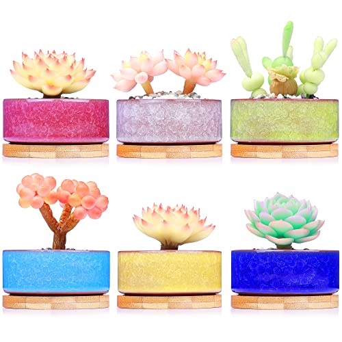 Dawnlam Inches Ceramic Ice Crack Small Cute Succulent Plant Pots,Cactus Plant Pot,Flower Planter Pot With Drainage For Home And Kitchen Decoration (3.5Inch) #TOP1