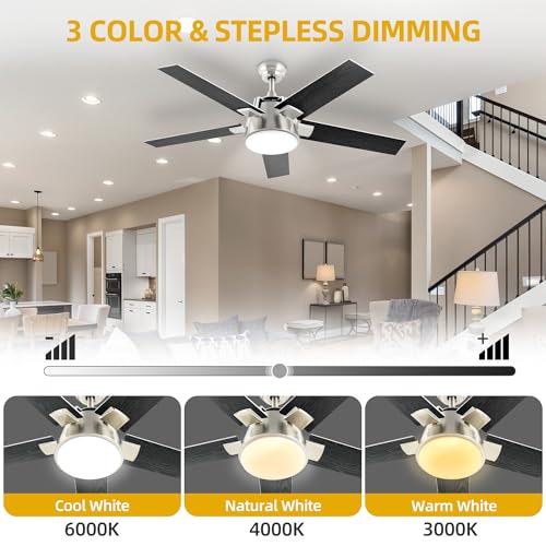 DWVO Ceiling Fan with Light and Wall Switch Remote, Quiet Reversible Motor, Dimmable LED Color, Memory Function for Bedroom Living Room Patio Indoor Outdoor, 52 Inch Modern Silver & Black Fan,