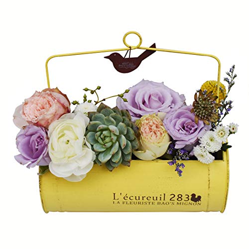 NCYP Yellow Country Rustic Hanging Metal Small Planter Windowsill Balcony Tabletop Wall Decor Iron Bucket Flower Pot for Indoor Outdoor Herb Succulents Plants, No Plants Included