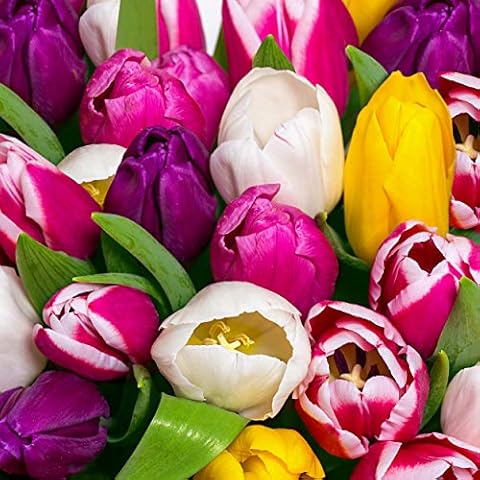 Tischdeko Table decoration 20 pieces napkins tulip bouquet spring flowers Cover