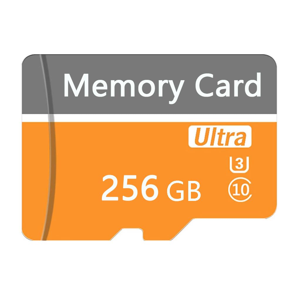 Locker.Ink | The Ultimate Guide to Choosing the Right SD Card for Your Needs Rezhnzuqo 256GB TF Card