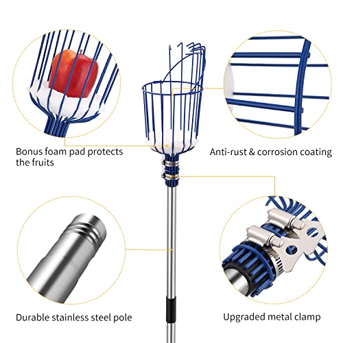 Oak Leaf Fruit Picker, 13 FT Picker Pole with Basket, Length Adjustable Apple Orange Picker Tool Tree Fruit Catcher with Lightweight Stainless Steel Connecting Pole, Foam Pad, 2 Metal Clamp(Upgraded)