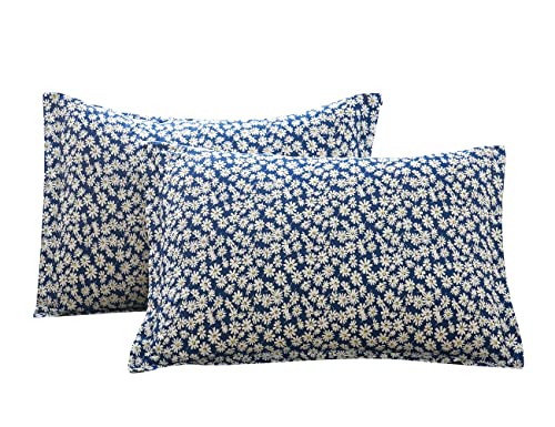 Jo[ 43x63cm 2g GKgЂt sP[X h_j R hL  ԕ 