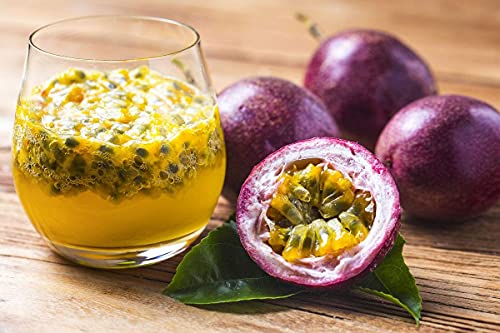 Moccurod Passion Fruit Purple Granadilla Passiflora Edulis 30 Seeds #TOP4