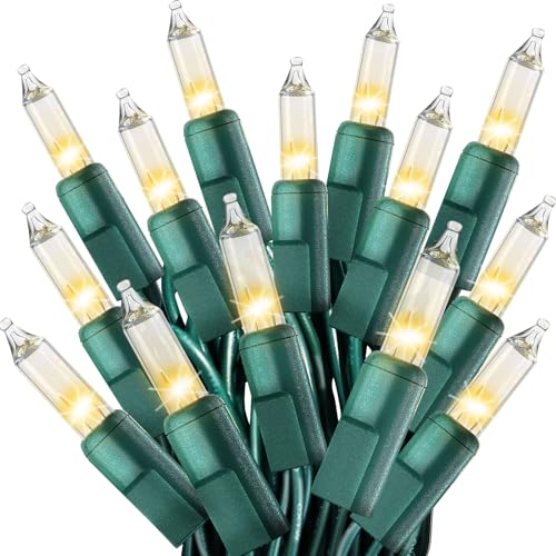 CXLHO Clear Christmas Lights 66FT 200 Incandescent Bulbs Warm White Mini Lights with Green Wire for Christmas Tree, Garland, Thanksgiving, Wedding, Party, Home, Indoor & Outdoor Festival Decoration