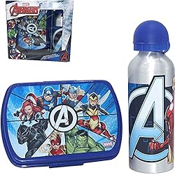SRV Hub® - Juego de 2 loncheras y botellas de agua deportivas para niños, juego de picnic de viaje para niños (juego de lonchera de los Vengadores)