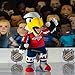 Bleacher Creatures Washington Capitals Slapshot 10