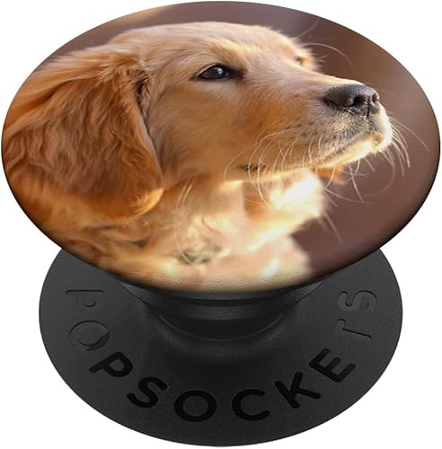 Golden Retriever Puppy  PopSockets Grip y soporte para teléfonos y tabletas