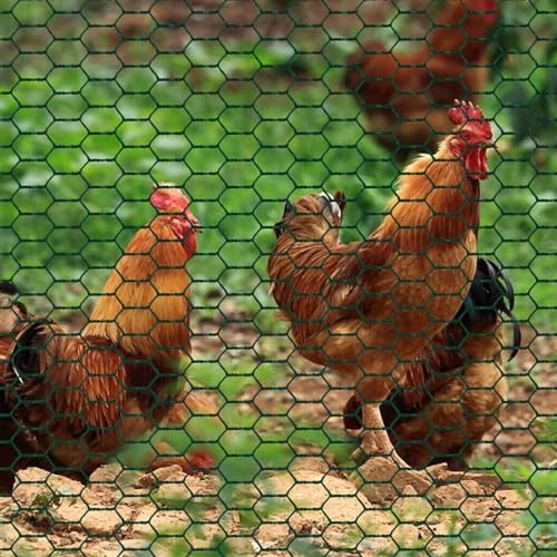 Maschendrahtzaun Sechseckgeflecht Hühnerdraht Kaninchendraht Hasengitter Feinmaschig PVC-Beschichtet Grün mit Handschuhen und 50 Kabelbindern für Tierzäune, Handwerksartikel und Gemüsegarten