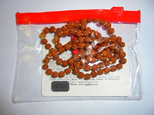 Artcollectibles India Rudraksha 5 Mukhi Faced Rudraksh Mala 5,5 mm 108 Cuentas Certificado Energised Yoga