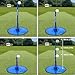 Fortress Spring Back Cricket Batting Aid | Optional Flexi Stumps & Carry Bag Included – Refine Your Cricket Batting Technique! [2 Upgrade Options] (with 2X Small Flexi Stumps)