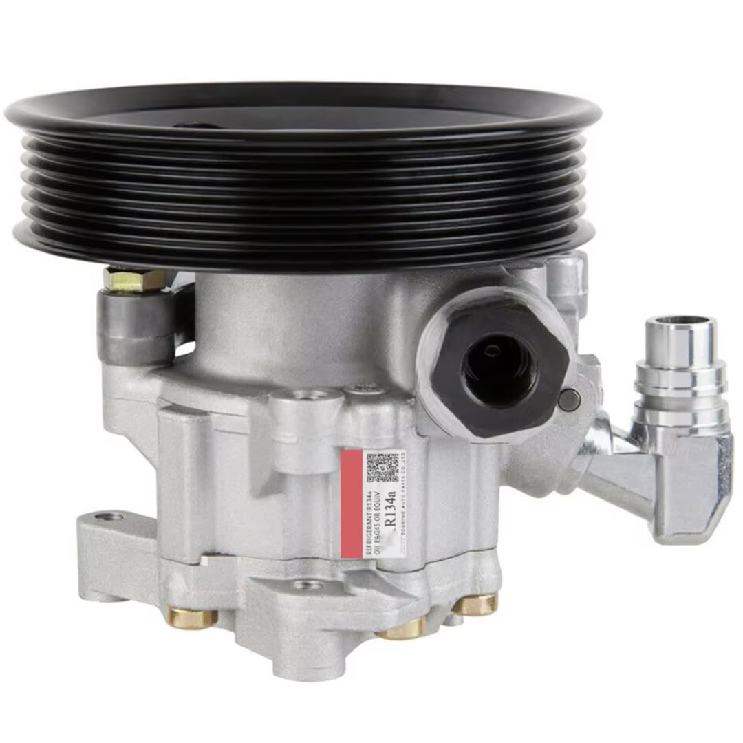 Rufutle Power Steering Pump for Mercedes Benz M/R/GL-Class W221 W164 X164 W251 V251 W220 GL450, Power Steering Pump 0054662201/0054662001