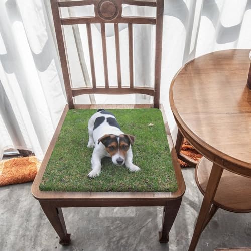 Cojín de espuma viscoelástica Jack Russell lavable para asiento suave 6