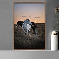 Framed Canvas Wall Art Two Horses Animals Dramatic Farmhouse/Country Horse Living Room Multicolor Photography - 16x24 inches