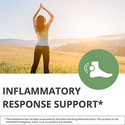 Nutramedix Joint Support Bundle - Includes Curcumin From Turmeric And Serrapeptase Enzyme Support Capsules For Joint Support And Healthy Inflammatory Response Support - 2-Piece Supplement Set #TOP1