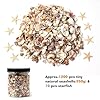HAPY SHOP 1200 Pieces Tiny Sea Shells Small Natural Starfish Mixed Ocean Beach Spiral Seashells for Home Decorations,Wedding Decor,Candle Making,Beach Theme Party,DIY Crafts and Vase Filler #1